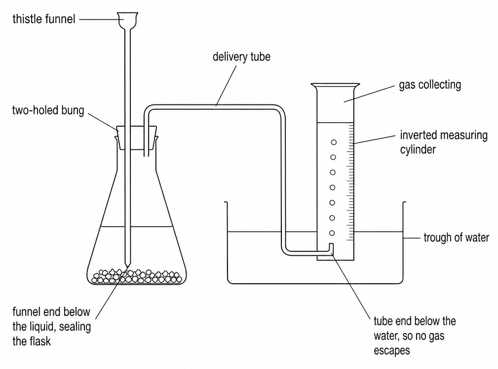 Cross-section of a conical flask with a two-holed bung holding a thistle funnel dipping into the liquid and a delivery tube running under water in a trough to an inverted measuring cylinder.