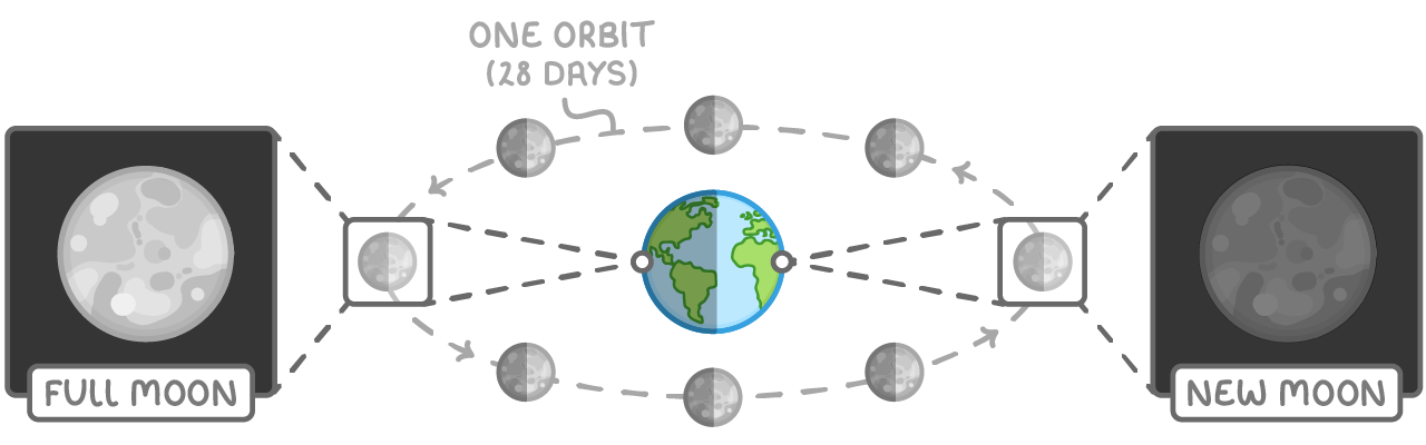 Eight half-lit moons around a dashed orbit of Earth marked one orbit (28 days), with zoom panels showing a fully lit disc labelled full moon and a dark disc labelled new moon.