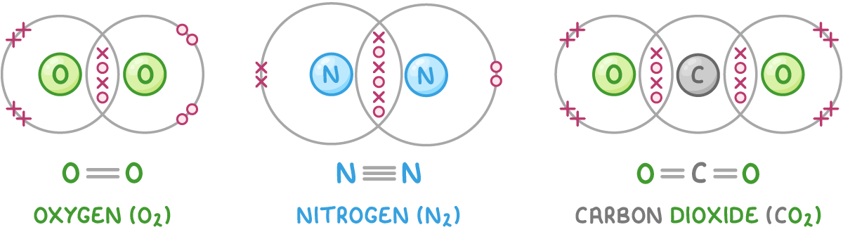 Dot-and-cross diagrams of oxygen (O2) with two shared pairs, nitrogen (N2) with three, and carbon dioxide (CO2) with two on each side of the carbon, each above its displayed formula.