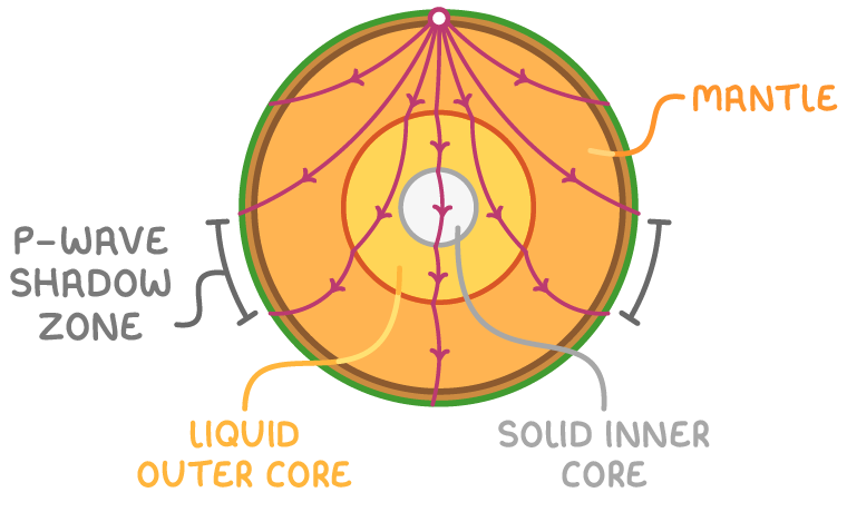Cut-through Earth labelled "mantle", "liquid outer core" and "solid inner core", pink wave paths curving from a surface point and through the core, brackets each side marking the "P-wave shadow zone".