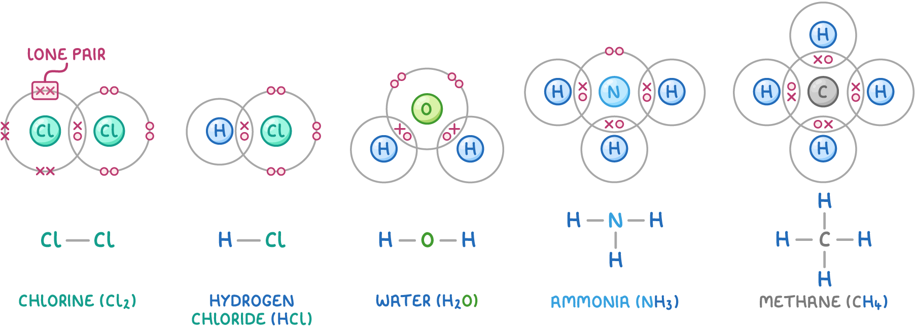 Dot-and-cross diagrams of chlorine (Cl2), hydrogen chloride (HCl), water (H2O), ammonia (NH3), and methane (CH4), with shared pairs in the overlapping circles and lone pairs outside, each above its displayed formula.