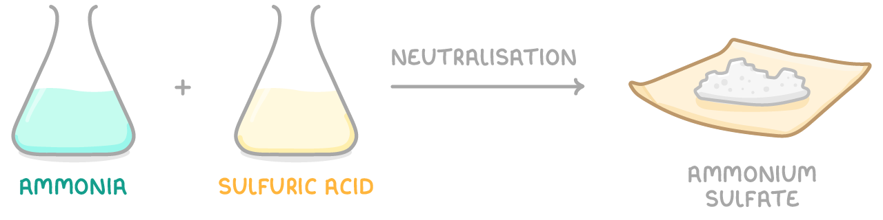 Ammonia and sulfuric acid in two flasks react by neutralisation to give white ammonium sulfate crystals on a sheet of paper.