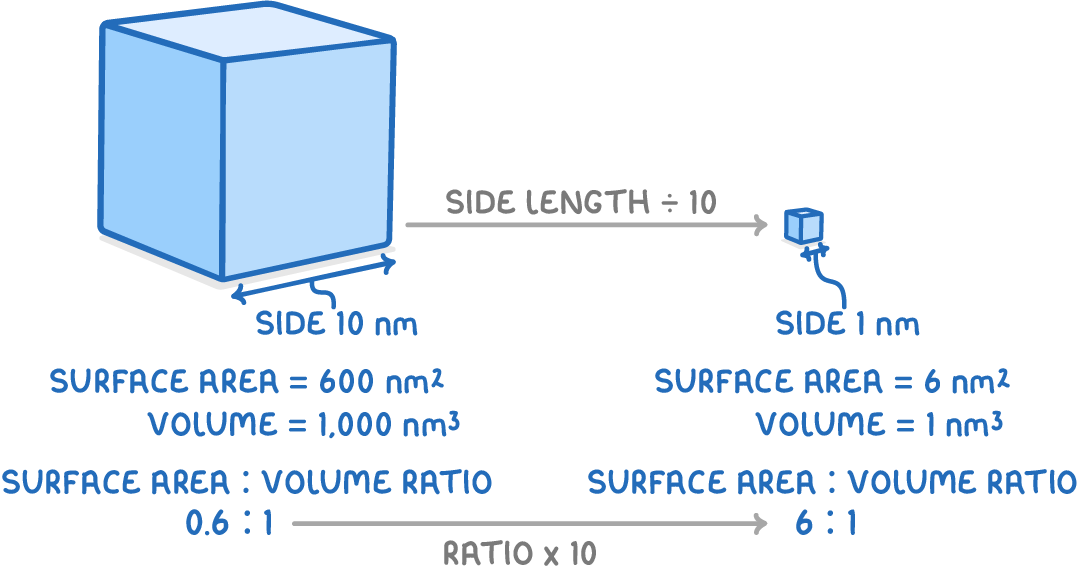 A 10 nm cube and a tiny 1 nm cube, each labelled with surface area, volume, and surface area to volume ratio, 0.6 : 1 and 6 : 1, linked by ratio x 10.