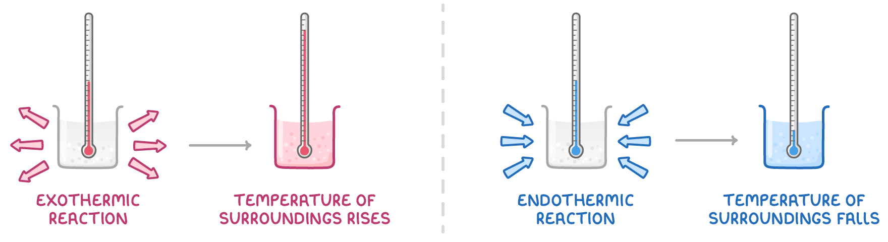 Pink arrows point out of an exothermic reaction beaker, then its thermometer reads higher (temperature of surroundings rises); blue arrows point into an endothermic reaction beaker, then it reads lower (temperature of surroundings falls).