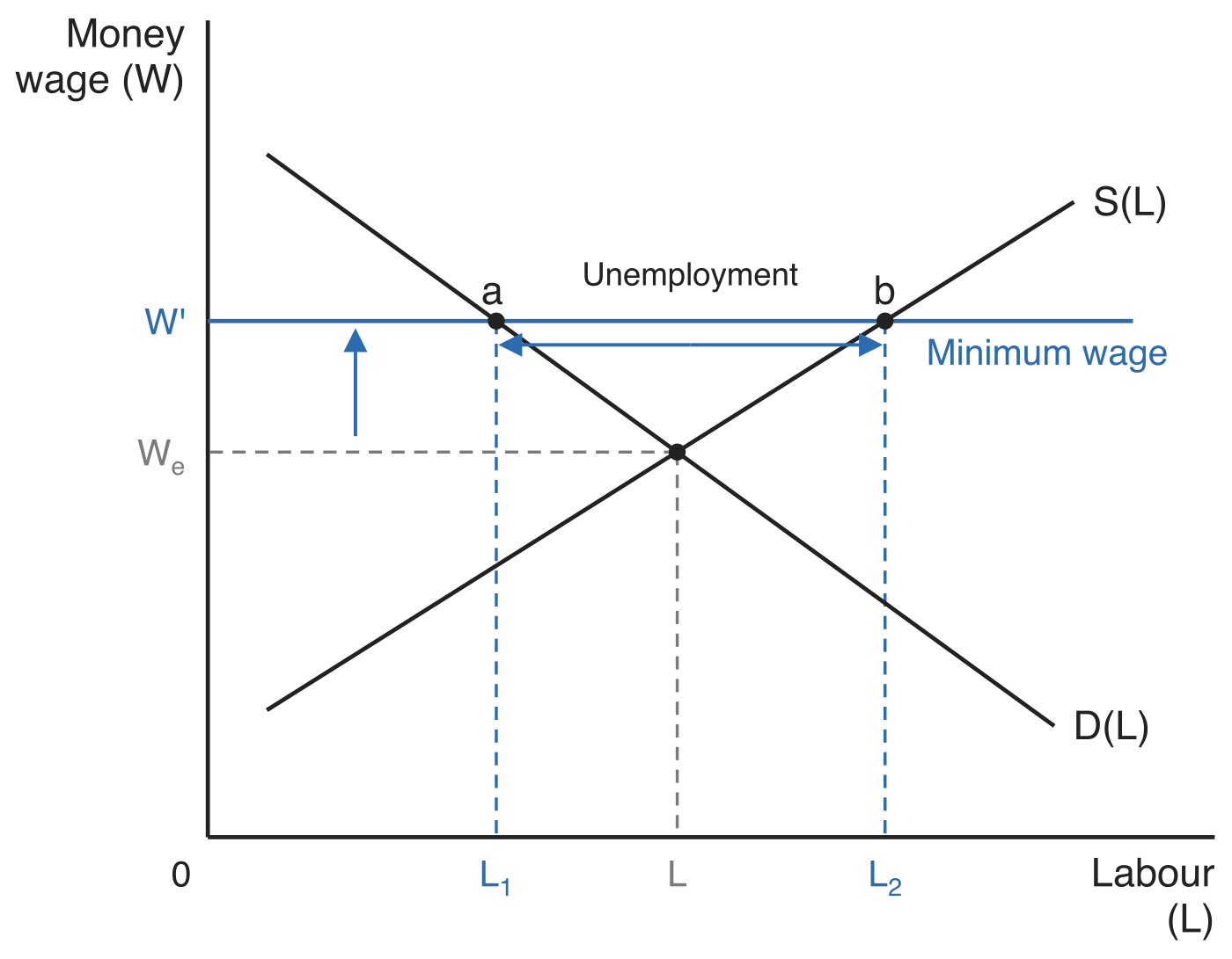 Labour market with a minimum wage, with money wage (W) on the vertical axis and labour (L) on the horizontal axis. The labour demand curve D(L) and labour supply curve S(L) cross at the equilibrium wage We and employment L. A horizontal line above that equilibrium is labelled Minimum wage at the wage W', with an upward arrow from We to W'. At W' point a on D(L) gives employment L1 and point b on S(L) gives labour offered L2, with dashed guides down to both quantities and a double-headed arrow between them labelled Unemployment.