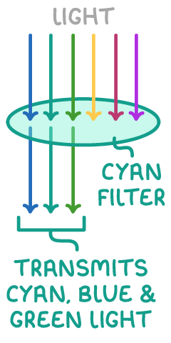 Six coloured arrows point down into an oval cyan filter and only three come out below, labelled light, cyan filter and transmits cyan, blue and green light.