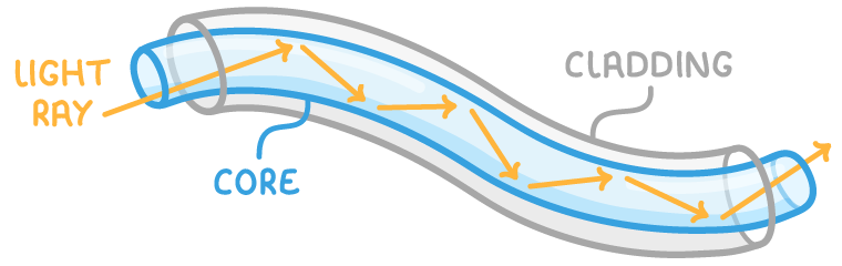 A wavy fibre cut open to show its inner tube, with an orange ray entering the left end, zigzagging off the tube walls and leaving at the right, labelled light ray, core and cladding.