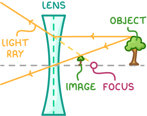 A tree sending rays leftwards through a concave lens, with a dashed ray traced back and a smaller upright tree formed near the focus, labelled object, image, focus, lens and light ray.