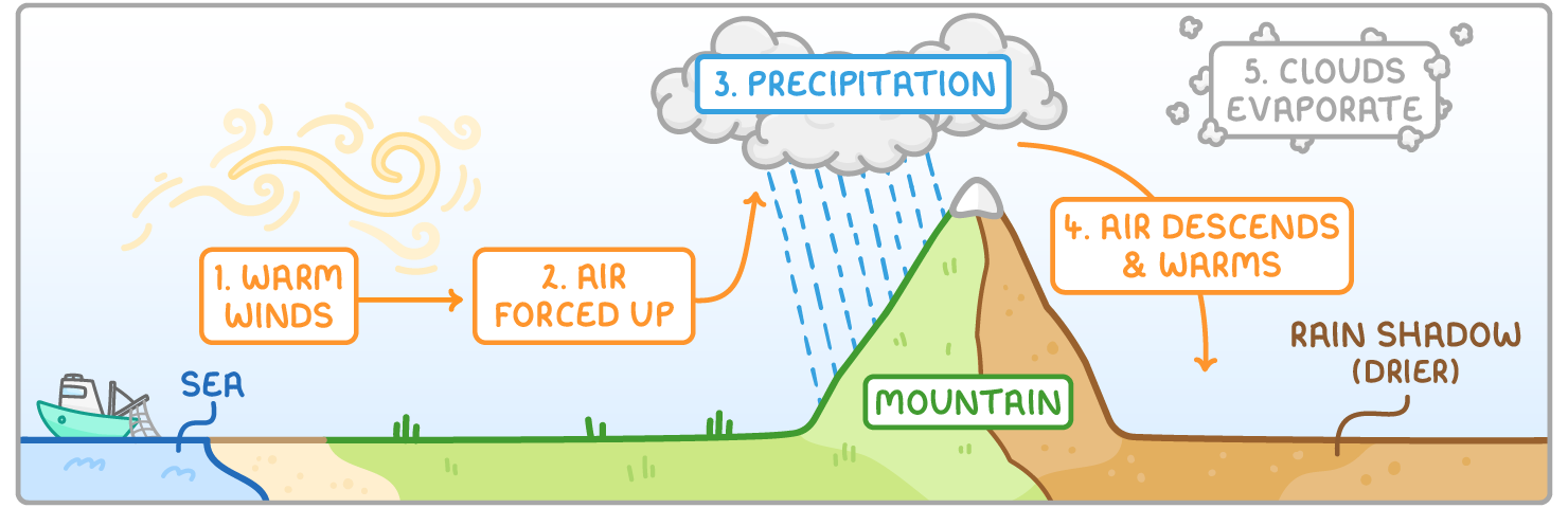 Relief rainfall in five steps: 1, warm winds blow in from the sea; 2, the air is forced up a mountain; 3, rain falls on that side of the mountain; 4, the air descends on the other side and warms; 5, the clouds evaporate, leaving a drier rain shadow.