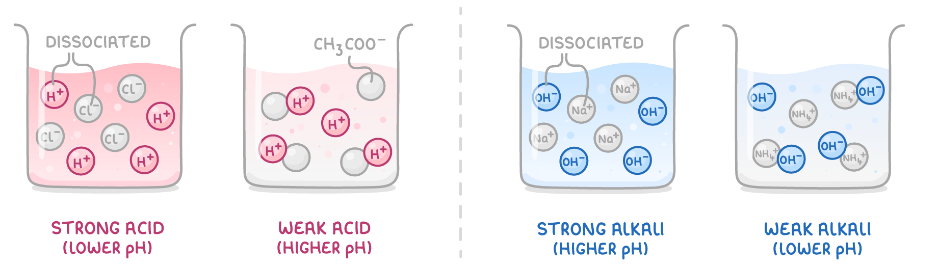 Four beakers labelled strong acid (lower pH), weak acid (higher pH), strong alkali (higher pH), and weak alkali (lower pH); the strong ones hold separate ions marked dissociated, the weak ones mostly joined pairs.