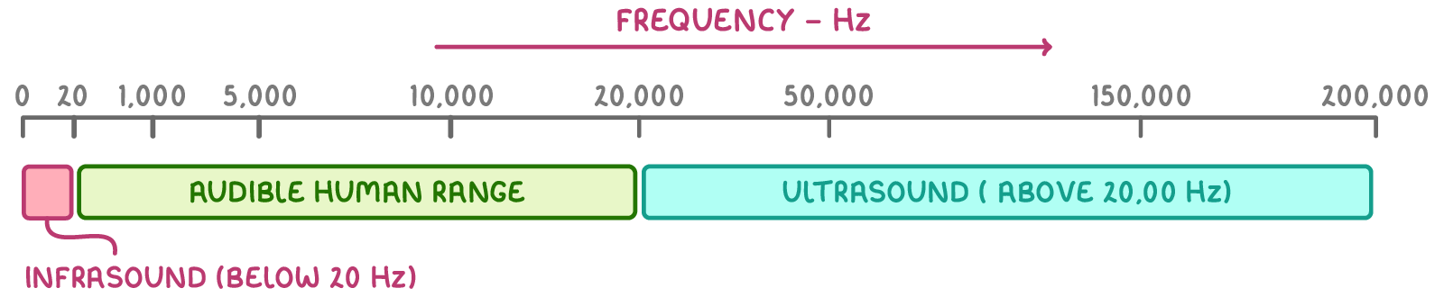 A frequency scale in hertz from 0 to 200,000, with a pink block labelled infrasound (below 20 Hz), a green bar labelled audible human range, and a turquoise bar labelled ultrasound (above 20,000 Hz).