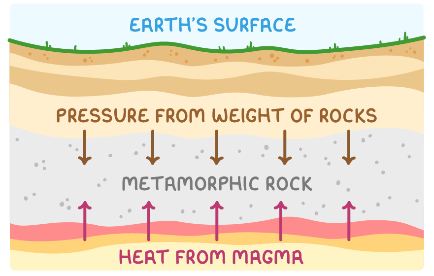 Cross-section of the ground. A layer of metamorphic rock lies between pressure from the weight of rocks above, shown by arrows pushing down, and heat from magma below, shown by arrows pushing up.