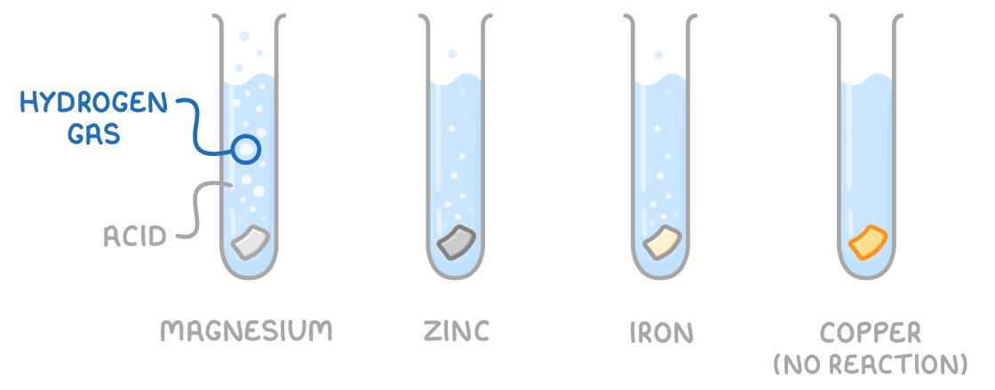 Four test tubes of acid hold pieces of metal labelled magnesium, zinc, iron, and copper (no reaction), with many bubbles marked hydrogen gas on magnesium, fewer on zinc and iron, and none on copper.