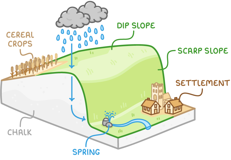 Block diagram of a chalk escarpment: a steep scarp slope on one side and a long, gentle dip slope on the other, with cereal crops growing on top. Rain soaks down through the porous chalk and comes out as a spring at the foot of the scarp slope, where there is a settlement.