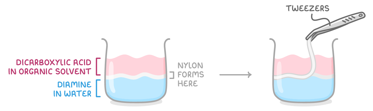 Two beakers, the first with a pink dicarboxylic acid in organic solvent layer over a blue diamine in water, the boundary labelled nylon forms here, the second with a thread pulled out by tweezers.