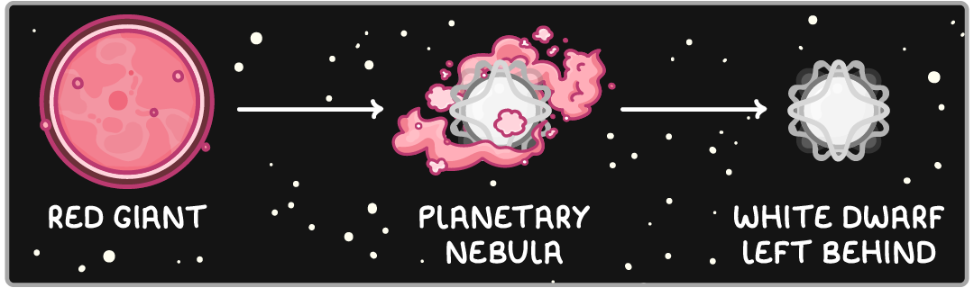 A pink star labelled red giant, an arrow to a pink and grey cloud labelled planetary nebula, then an arrow to a small white star labelled white dwarf left behind, on a black starry background.