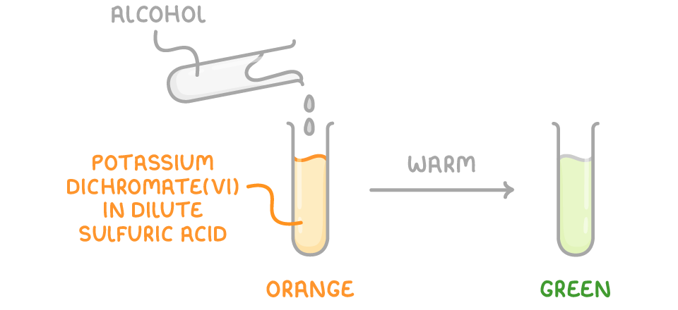 Alcohol tipped into a test tube of orange liquid labelled potassium dichromate(VI) in dilute sulfuric acid, then an arrow marked warm to a green tube; the tubes labelled orange and green.