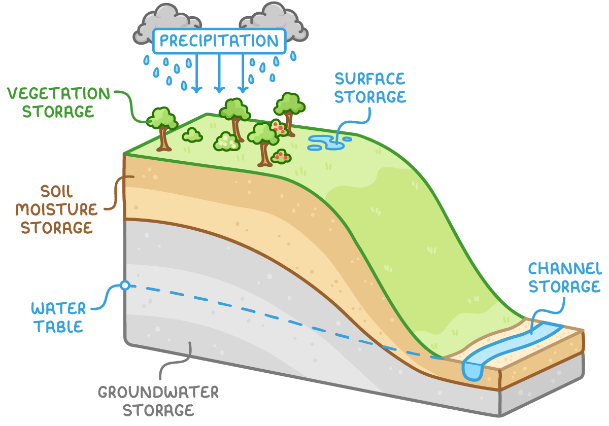 The same cut-away hillside labelled with places water is stored: on plants (vegetation storage), in puddles on the ground (surface storage), in the soil (soil moisture storage), in the rock below the water table (groundwater storage) and in the river (channel storage).