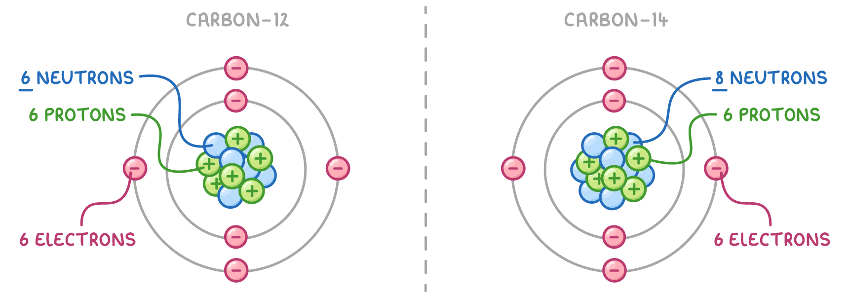 Two atoms side by side, each with two electron rings, the left headed carbon-12 and labelled 6 neutrons, the right headed carbon-14 and labelled 8 neutrons, both with 6 protons and 6 electrons.