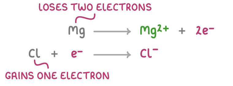 Two equations: Mg gives Mg2+ plus 2e−, with the Mg atom labelled loses two electrons, and Cl plus e− gives Cl−, with the Cl atom labelled gains one electron.