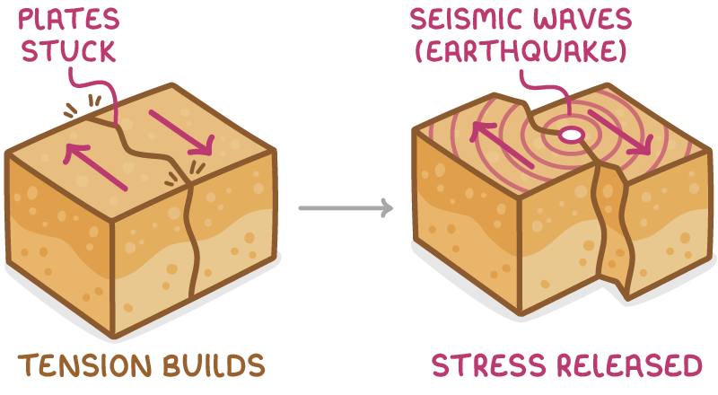 Two blocks of rock either side of a plate margin. In the first, labelled tension builds, arrows show the plates trying to move in opposite directions but stuck together. In the second, labelled stress released, the plates have jolted past each other and rings of seismic waves spread out from the break: an earthquake.