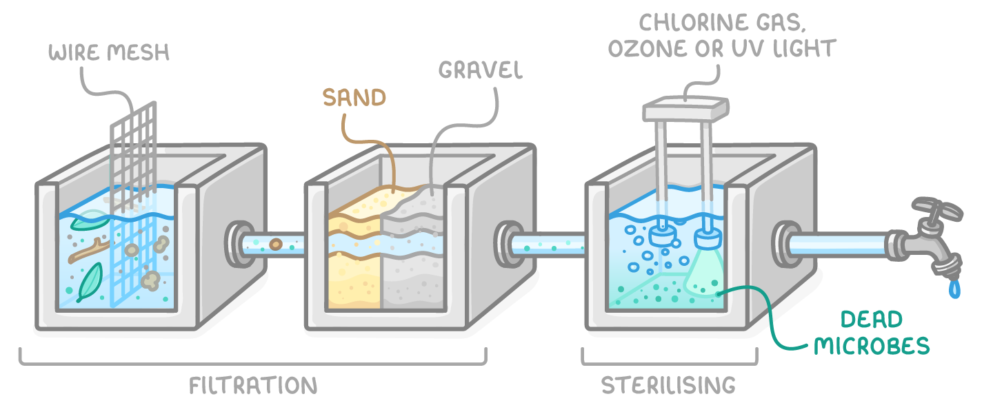 Three tanks piped to a tap: two grouped as filtration, holding a wire mesh and sand and gravel layers, then one labelled sterilising, where chlorine gas, ozone or UV light leaves dead microbes.