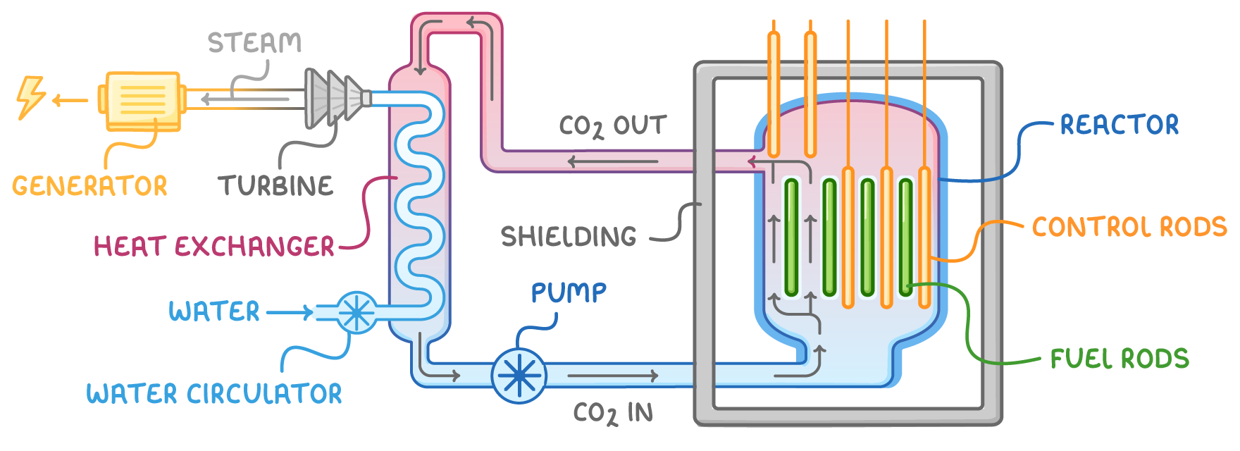 A reactor holding control rods and fuel rods inside shielding, with pipes labelled CO2 in and CO2 out carrying heat through a heat exchanger where water from a water circulator turns to steam, which drives a labelled turbine coupled to a generator with electricity leaving it.