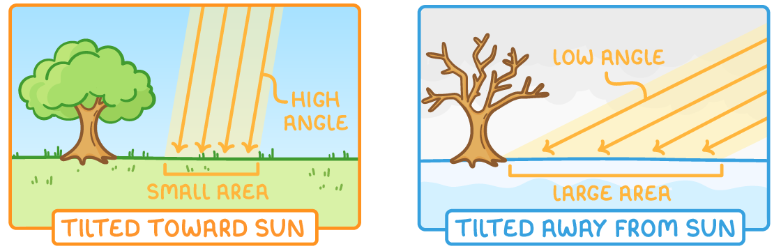 Leafy tree with steep rays on a small area, labelled high angle and tilted toward sun; bare tree with shallow rays over a large area, labelled low angle and tilted away from sun.