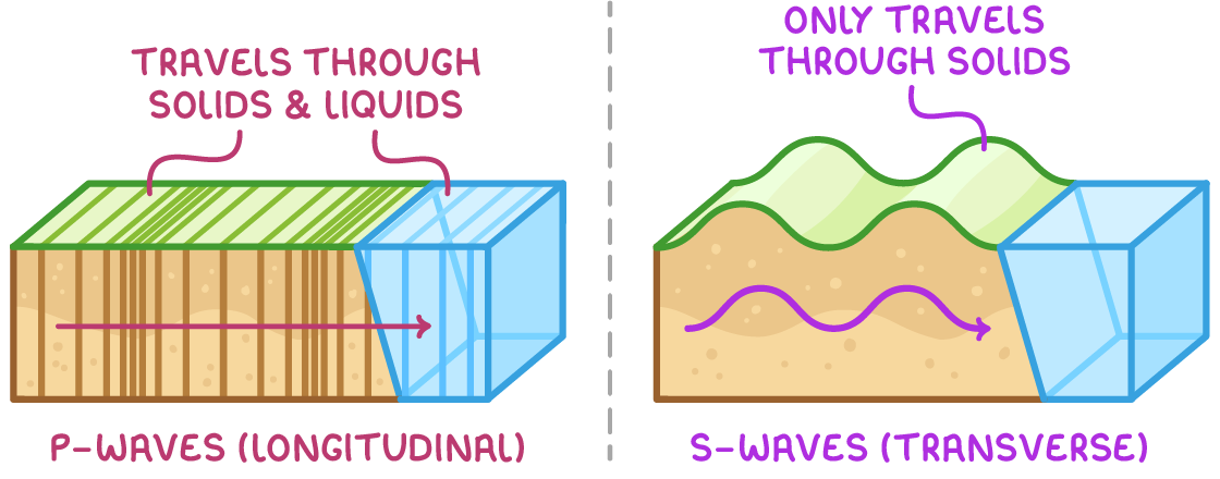 Two panels, "P-waves (longitudinal)" and "S-waves (transverse)": in each, a soil block meets a blue liquid block, with a pink arrow crossing into the liquid and a purple wavy arrow stopping at it.
