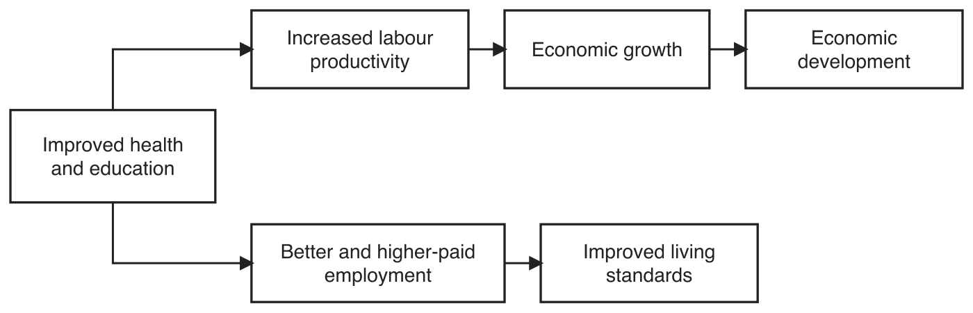 Schematic of the two pathways from health and education to development. A box labelled Improved health and education forks into two chains of solid arrows. The upper chain runs Increased labour productivity, then Economic growth, then Economic development. The lower chain runs Better and higher-paid employment, then Improved living standards.