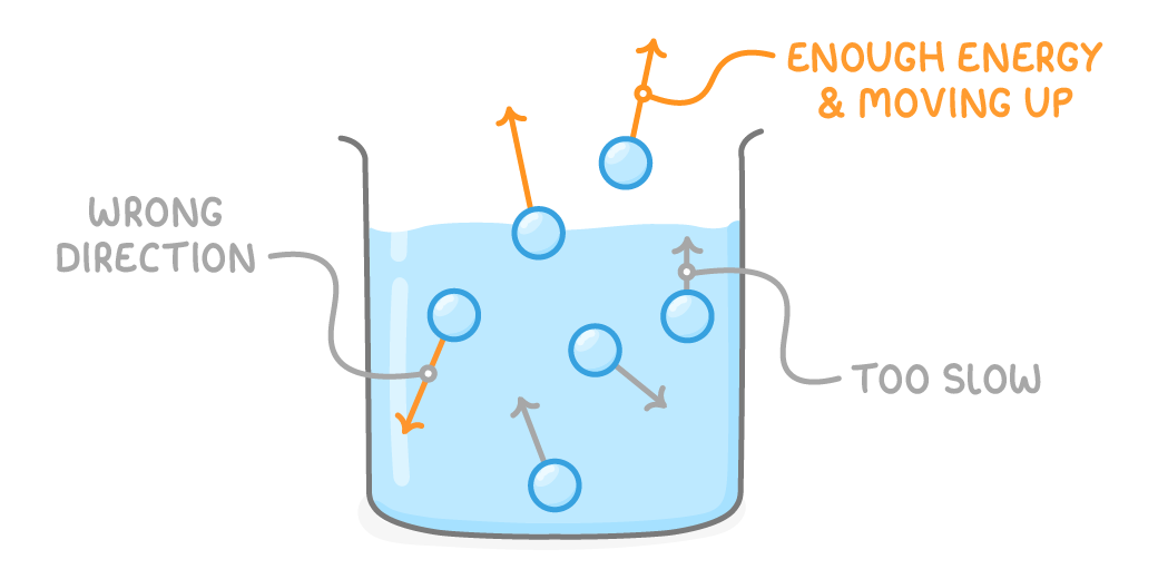 Round particles with arrows showing their movement sit in a beaker of liquid, one escaping above the surface labelled enough energy & moving up, others labelled wrong direction and too slow.