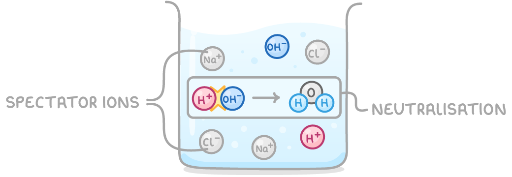 A beaker holds Na+, Cl-, H+, and OH- ions; an H+ and an OH- form water in a box labelled neutralisation, and a bracket labelled spectator ions points to Na+ and Cl-.