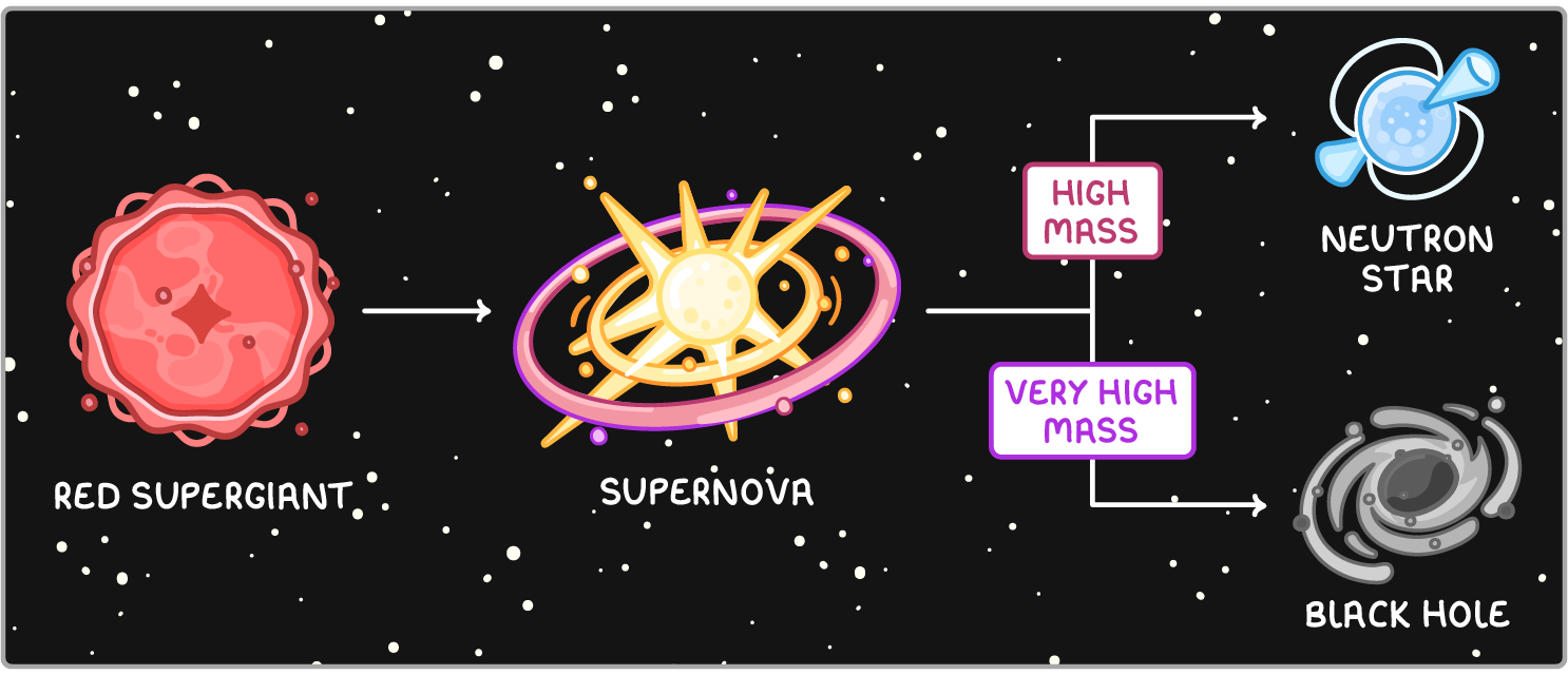 A red supergiant with an arrow to an exploding star labelled supernova, which branches through boxes marked high mass to a neutron star with beams, and very high mass to a black hole.