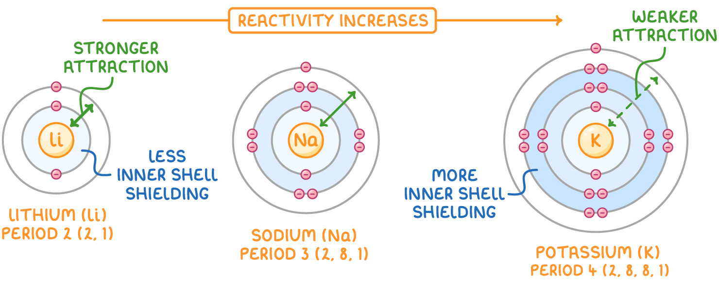 Lithium (2,1), sodium (2,8,1), and potassium (2,8,8,1) shell diagrams under an arrow labelled reactivity increases, with shaded inner shells labelled less then more inner shell shielding, and nucleus-to-electron arrows labelled stronger and weaker attraction.