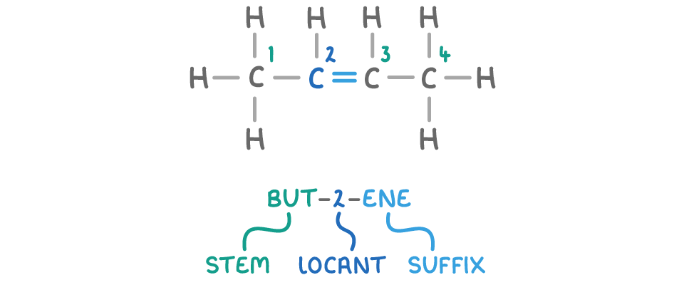 A four-carbon chain with every atom and bond drawn, carbons numbered 1 to 4 and a double bond between 2 and 3, the name but-2-ene below split into stem, locant and suffix.