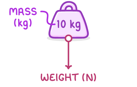 A purple weight block marked 10 kg with a curly label reading mass (kg), and a red arrow pointing straight down from its base labelled weight (N).