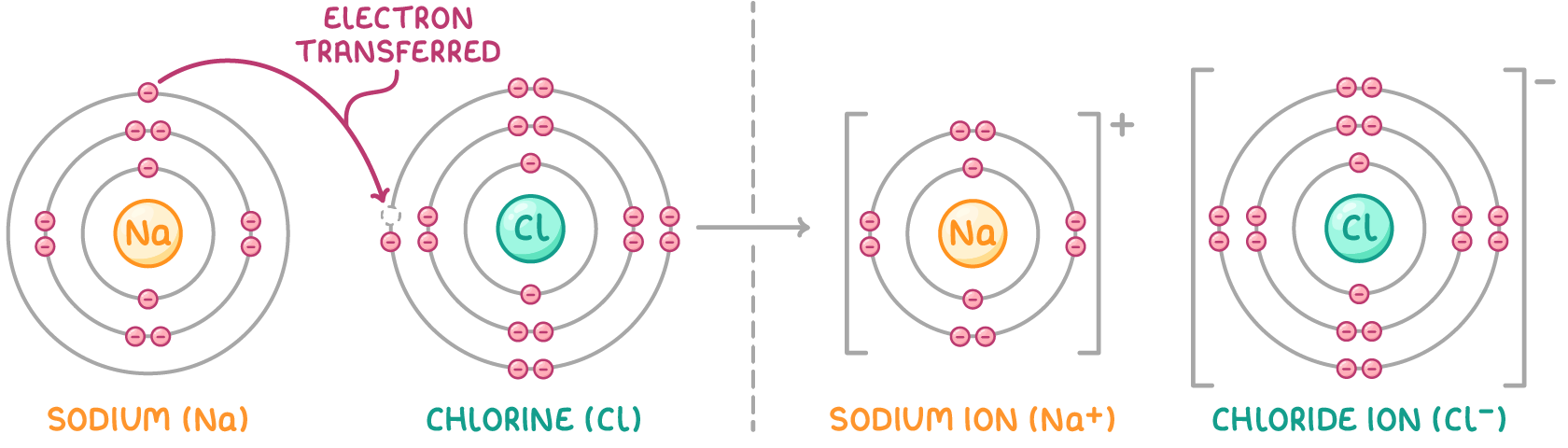 An arrow labelled electron transferred carries sodium's one outer electron to a chlorine atom, and a second arrow leads to a sodium ion and a chloride ion, charged plus and minus, in brackets.