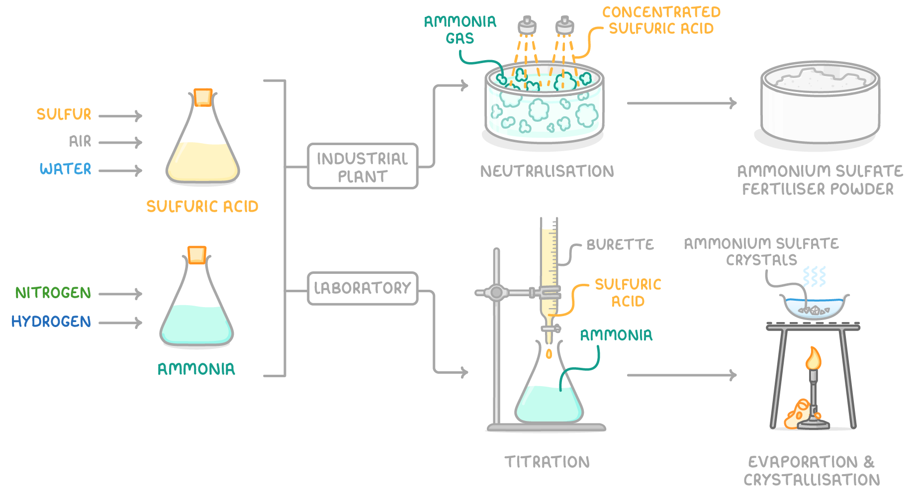Sulfuric acid and ammonia go two ways: in an industrial plant, acid is sprayed into ammonia gas to give fertiliser powder; in the laboratory, titration then evaporation gives ammonium sulfate crystals.