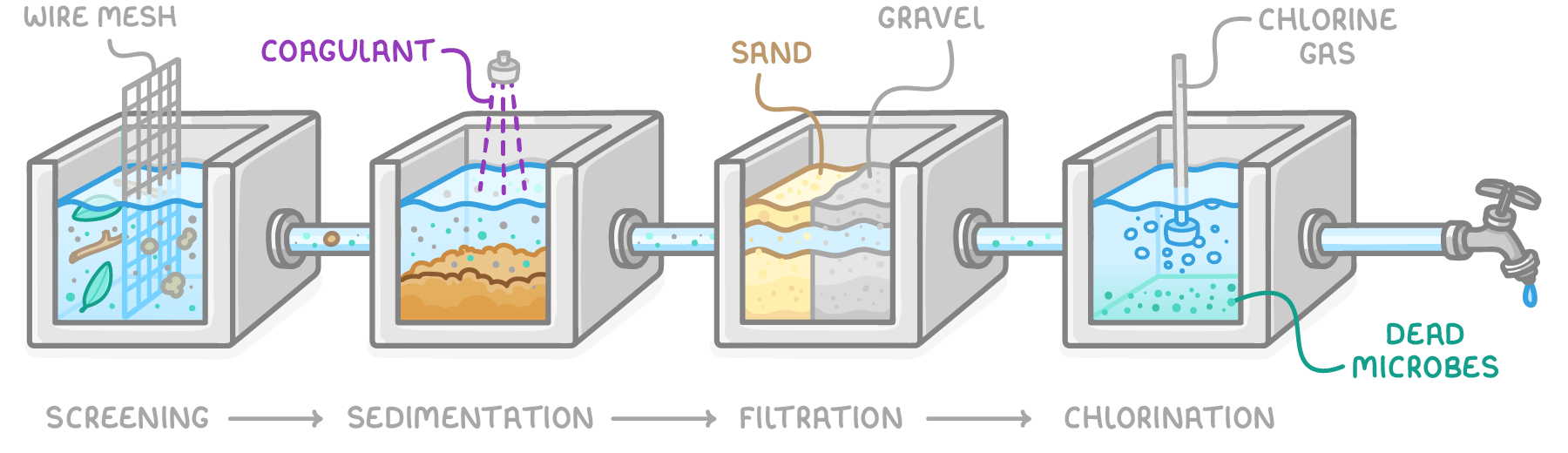 Four tanks piped to a tap, labelled screening, sedimentation, filtration and chlorination, showing a wire mesh catching leaves, coagulant sprayed in, sand and gravel layers, and chlorine gas leaving dead microbes.