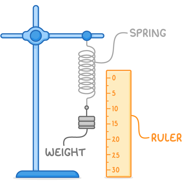 A spring hangs from a blue clamp stand with a stack of masses on its end and a vertical ruler marked 0 to 30 beside it, labelled spring, weight, and ruler.