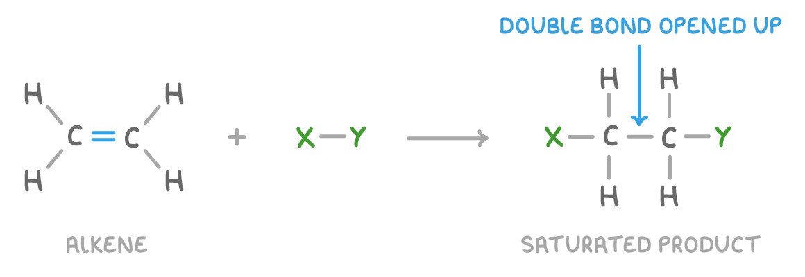 An alkene, two carbon atoms joined by a double bond each with two hydrogen atoms, plus X-Y, giving a product with X and Y attached; labelled alkene, saturated product, and double bond opened up.