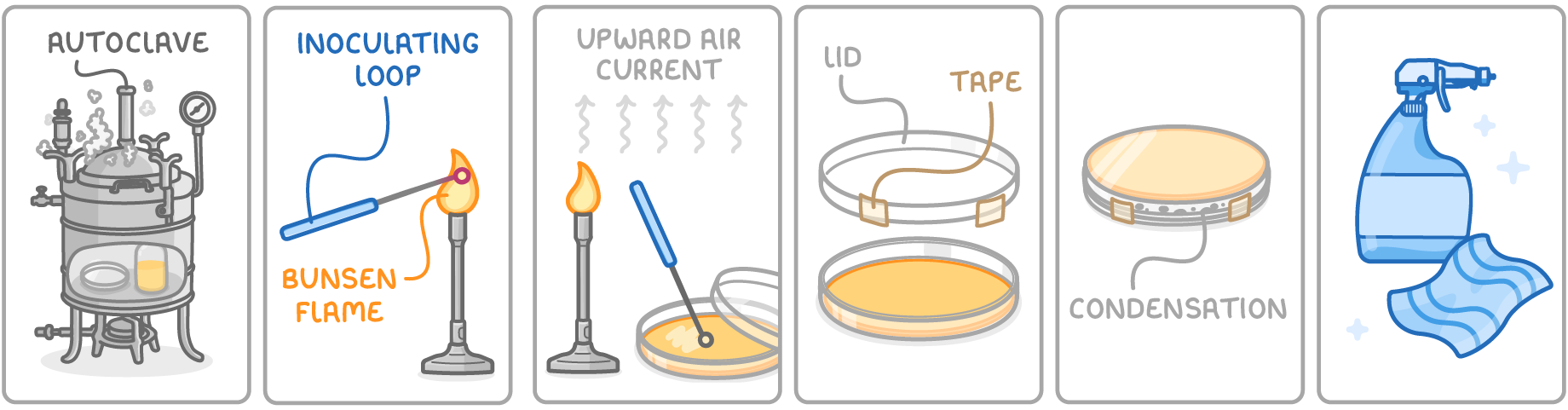 Six panels: an autoclave, an inoculating loop in a bunsen flame, arrows labelled upward air current over a burner, a taped lid, a dish upside down labelled condensation, and a spray bottle and cloth.