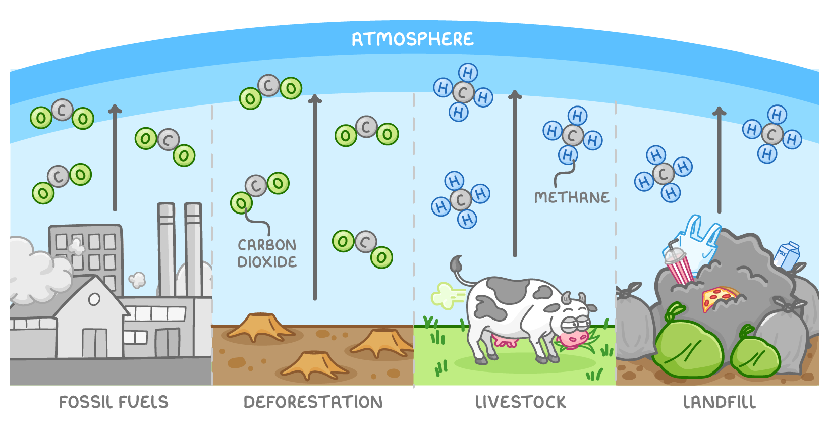 Four side-by-side scenes labelled fossil fuels, deforestation, livestock and landfill, showing a factory, tree stumps, a cow and rubbish bags, with carbon dioxide or methane molecules rising towards a band labelled atmosphere.