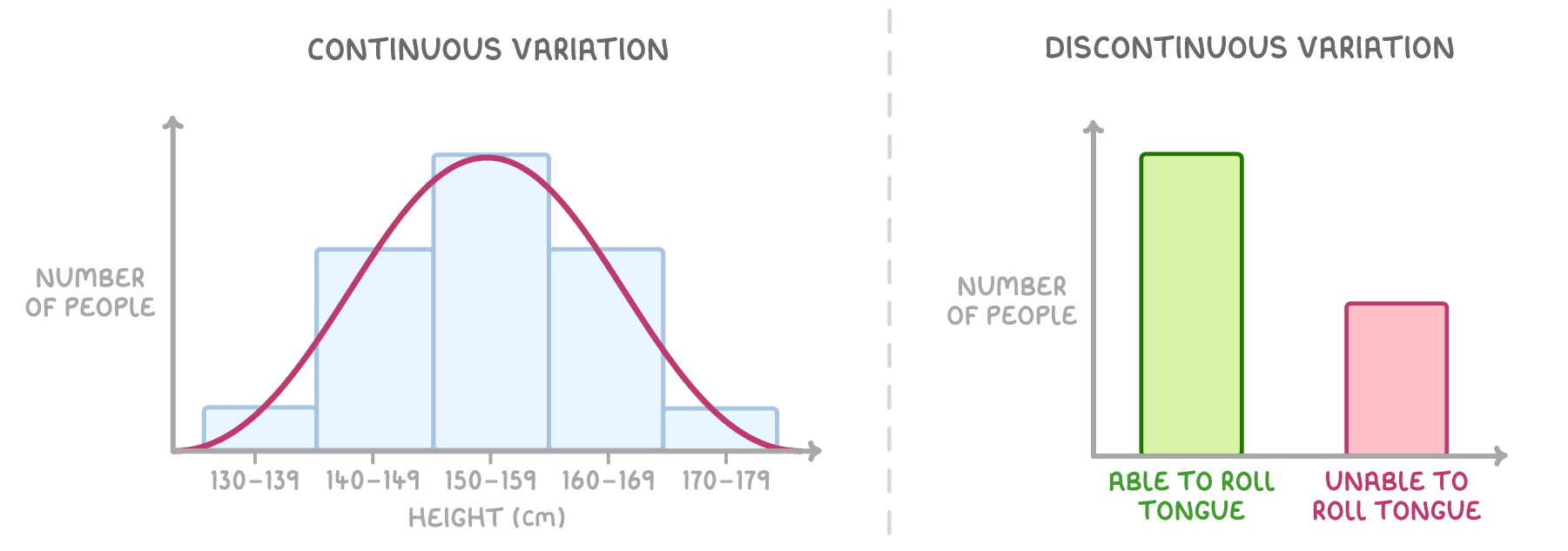 A height histogram with a bell curve drawn over it, labelled continuous variation, beside a two-bar chart of able to roll tongue and unable to roll tongue, labelled discontinuous variation.