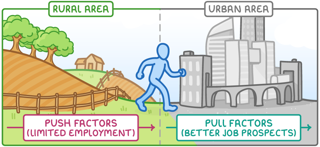 A person walking from a rural area of farmland and a farmhouse towards an urban area of tall buildings. Under the countryside, an arrow is labelled push factors (limited employment); under the city, an arrow is labelled pull factors (better job prospects).