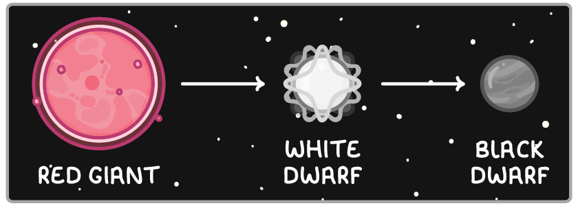 Three stages on a starry black strip joined by white arrows: a large pink sphere labelled red giant, a smaller glowing white sphere labelled white dwarf, and a dull grey sphere labelled black dwarf.