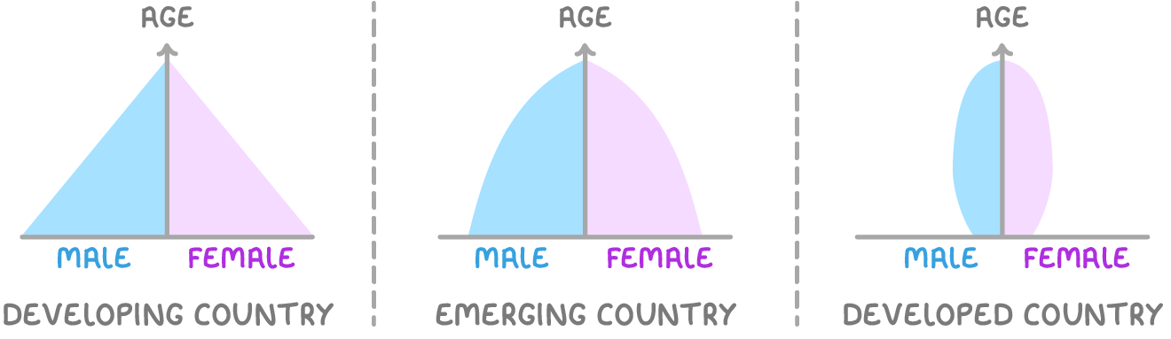 Three simplified population pyramids, each split into male and female halves with age rising up the middle: a developing country, with a wide base narrowing sharply to a point; an emerging country, shaped like a dome; and a developed country, with a narrow base, a bulging middle and a rounded top.