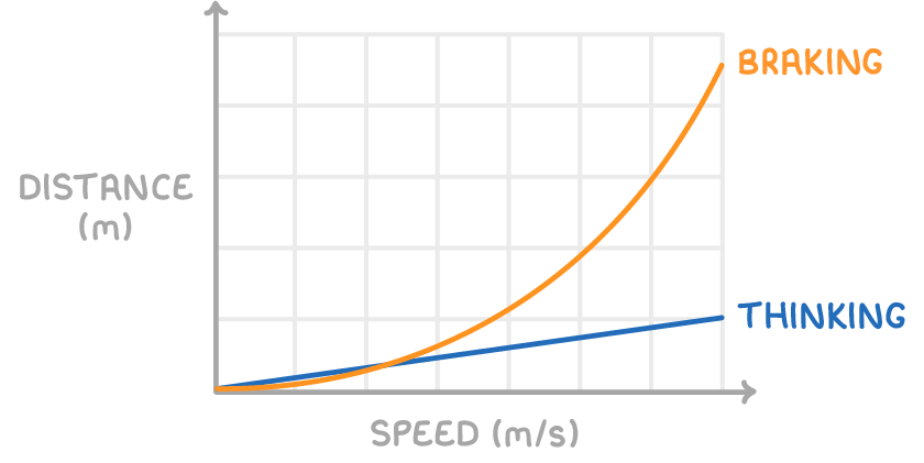 A graph of distance (m) against speed (m/s) with a straight blue line labelled thinking and an orange curve labelled braking that rises steeply above it.
