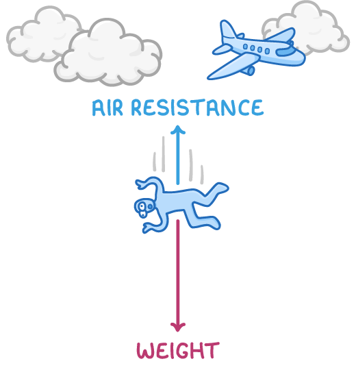 A skydiver falling face down below clouds and a small aeroplane, with a short upward arrow labelled air resistance and a longer downward arrow labelled weight.