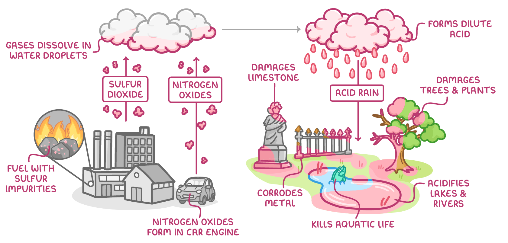 Fuel with sulfur impurities burns in a factory, releasing sulfur dioxide, and nitrogen oxides form in a car engine; the gases dissolve in cloud droplets and fall as acid rain, damaging a limestone statue, a metal fence, trees and a lake.